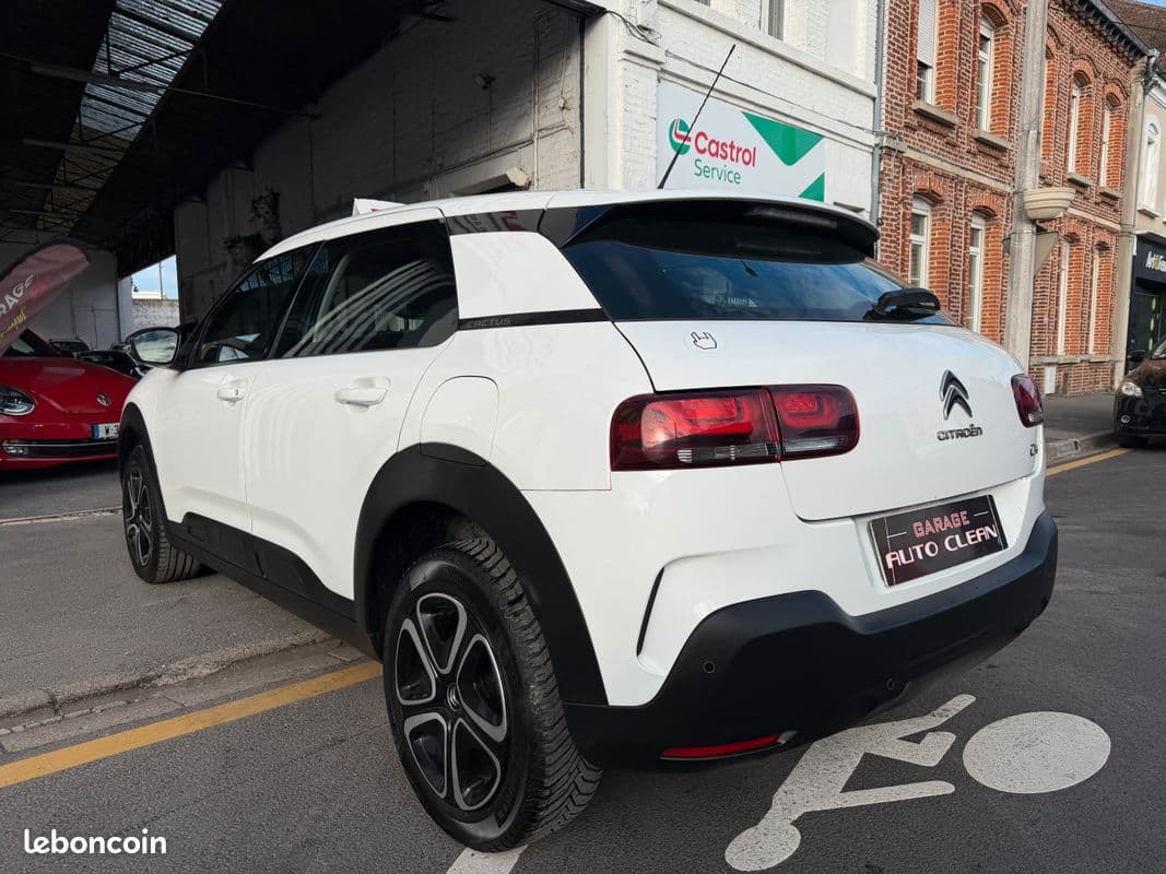 citroen c4 cactus 2020 image 10